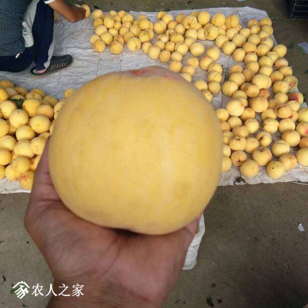 204414phxxypkxy0b7yqiw.jpg
