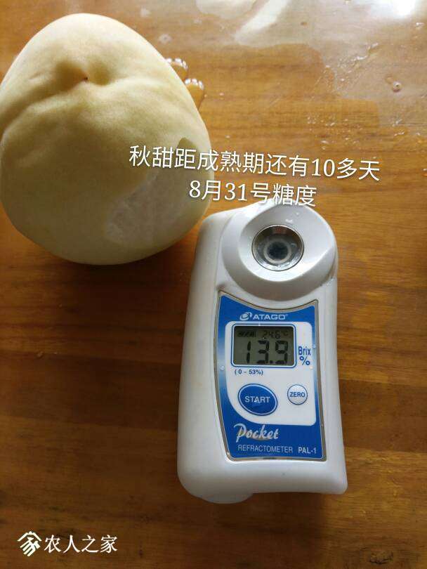 205950v3lzt59oo9mt9e3f.jpg