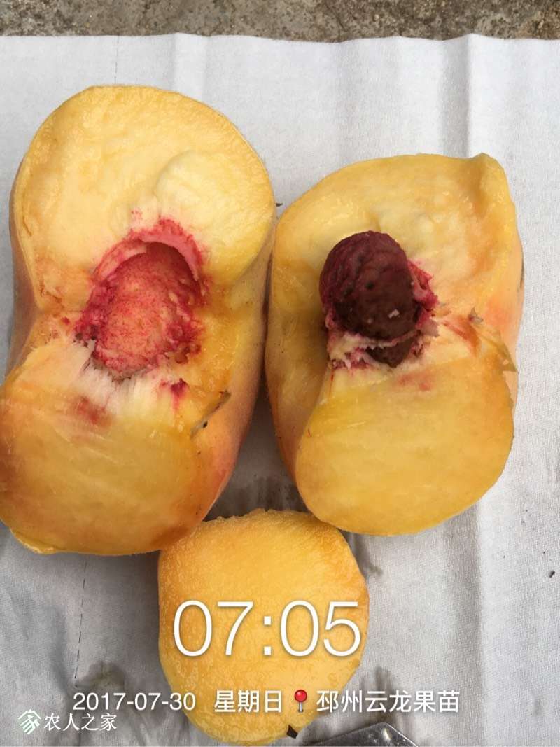 064300cgak4ykggakzbrrz.jpg