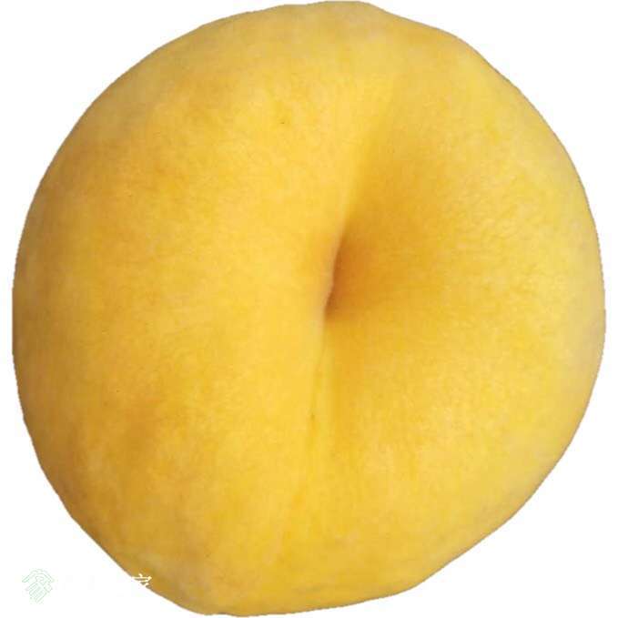 064300h2epggzpe2mgeru8.jpg