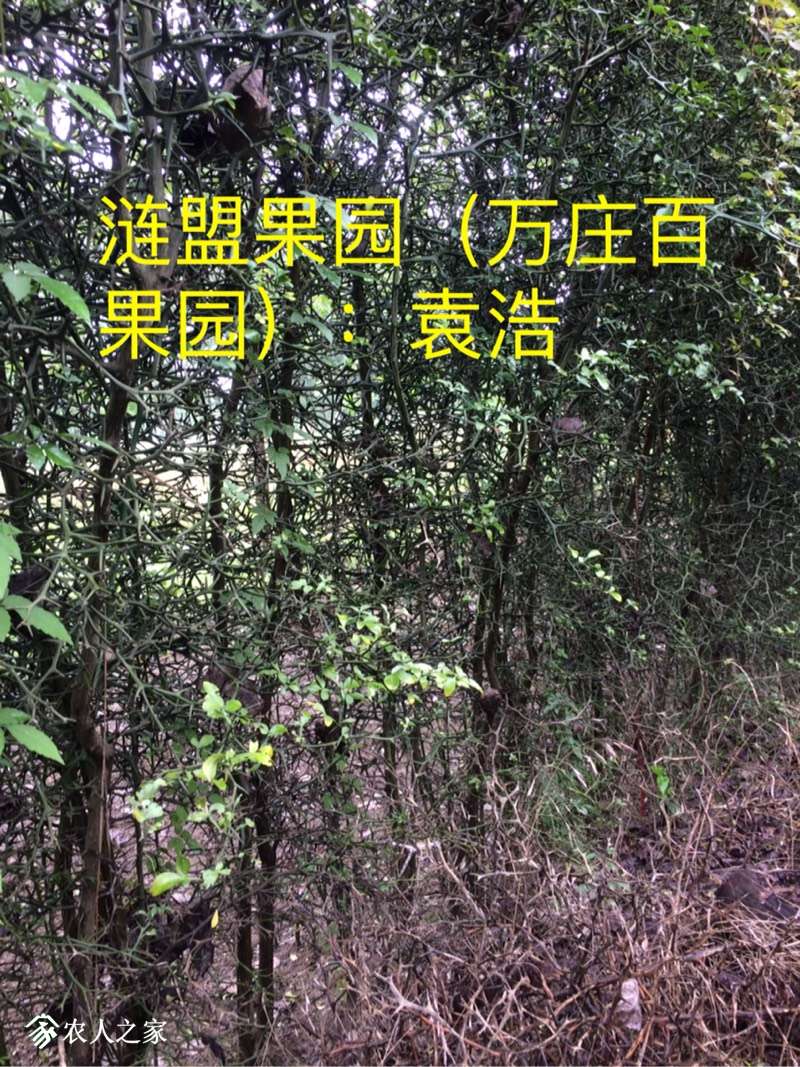 113857ubp5p5nqxqpgdd2b.jpg