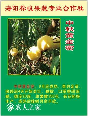 123053vol6kodunko9lo49.jpg