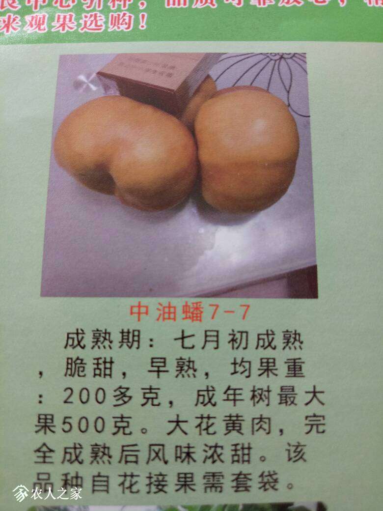 134043lgpt56vegg3igidh.jpg