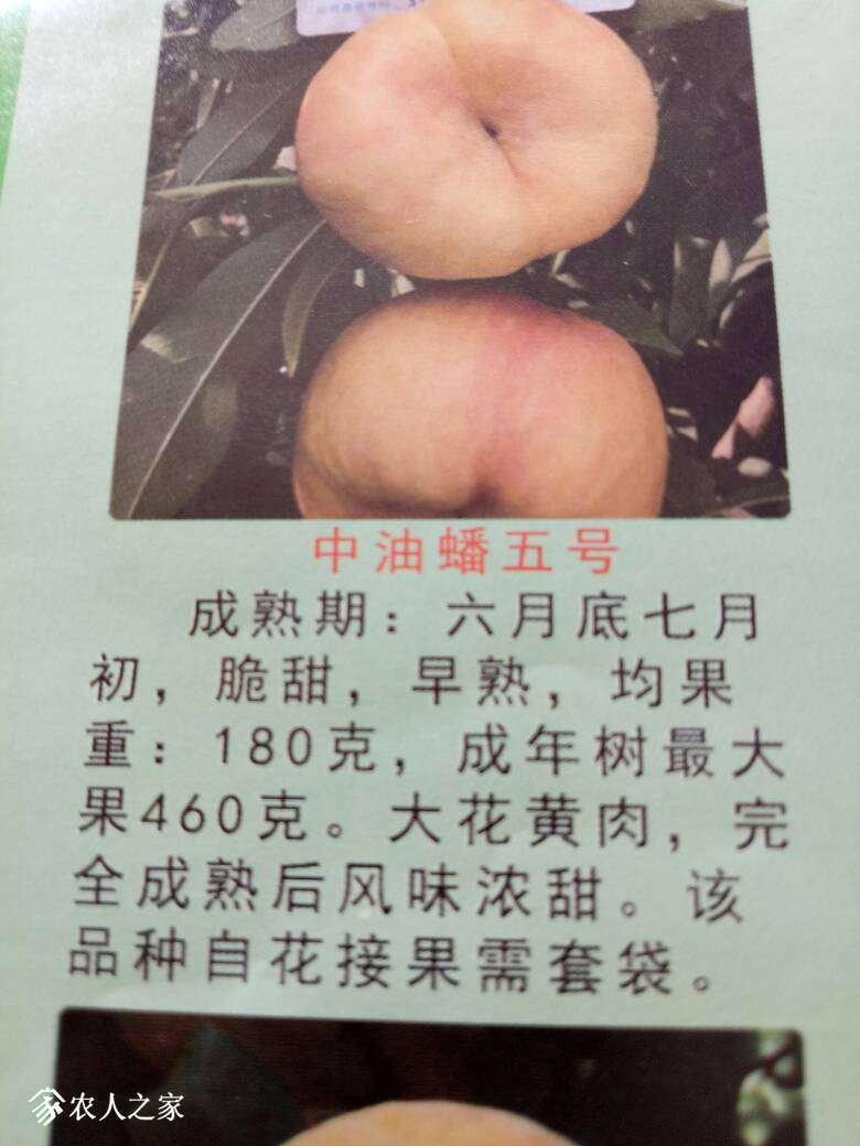 134043u5ew0s5020fo6izs.jpg
