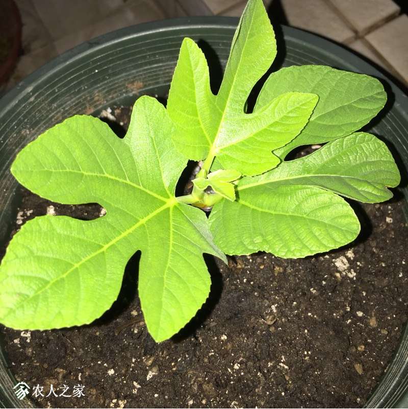 001416vegebkkb4ue2bhdi.jpg
