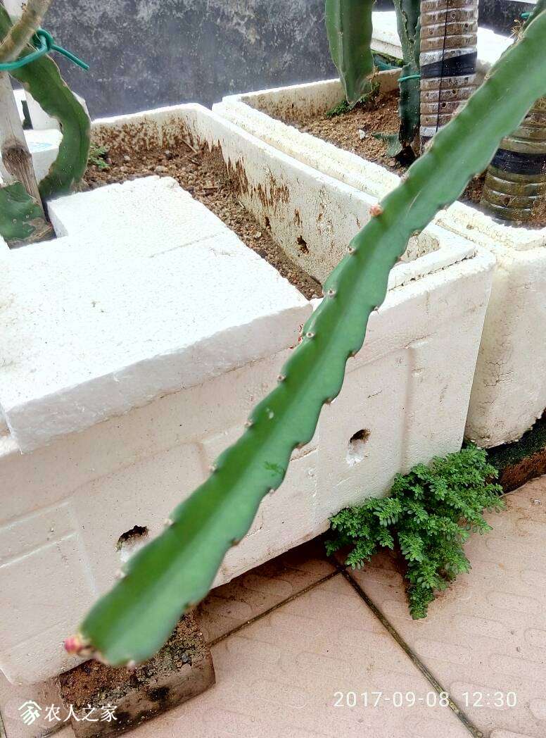 125556uprkkikkda0rfze0.jpg
