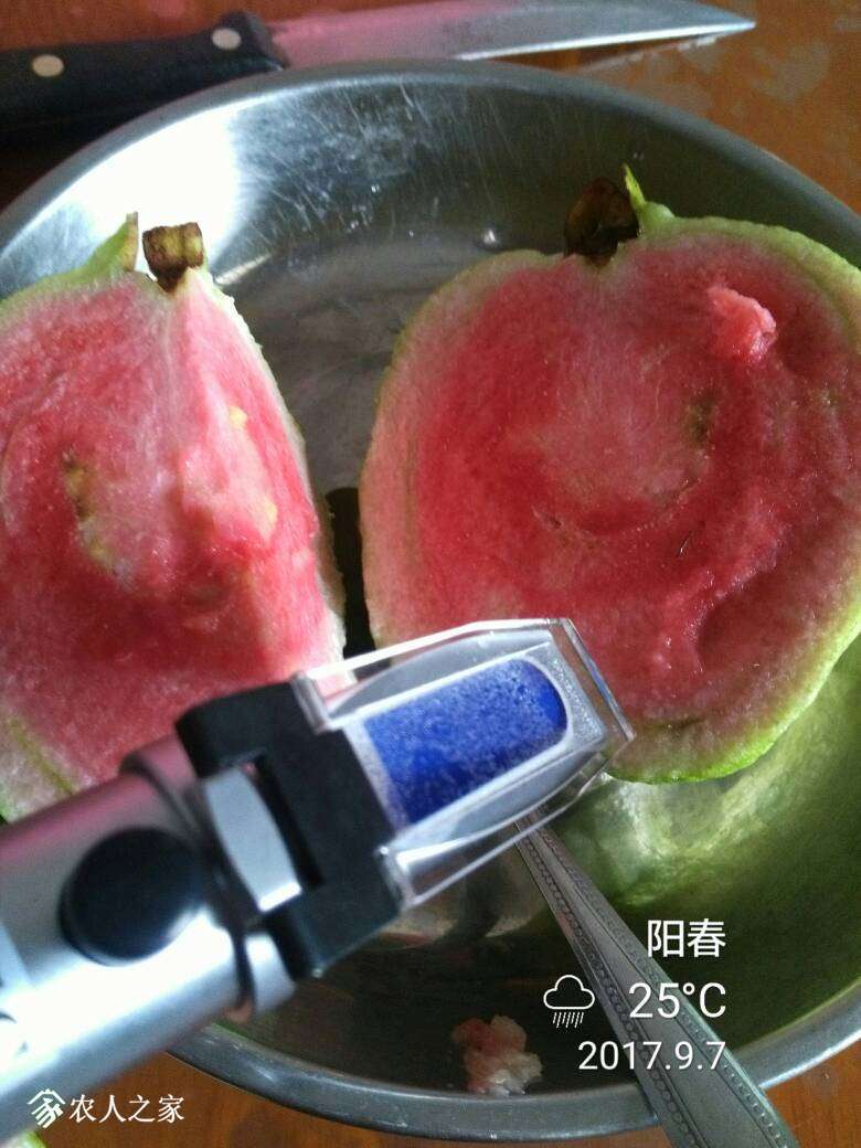 113901vwptbdmmwzt5gktg.jpg