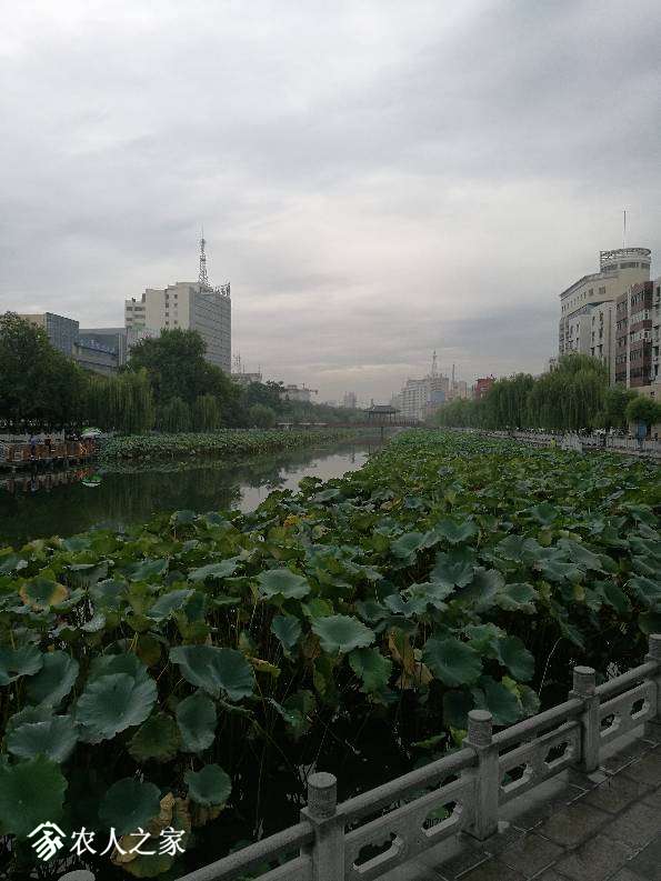 190843vr8rf0xpcjii9hfc.jpg