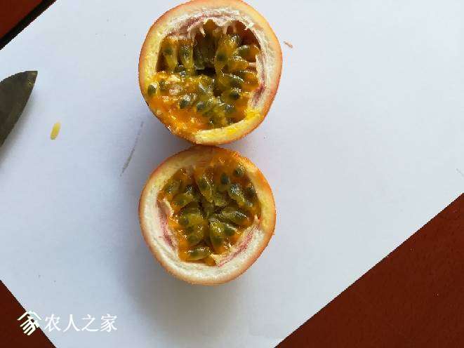 130116jv881ydl21y1f18r.jpg