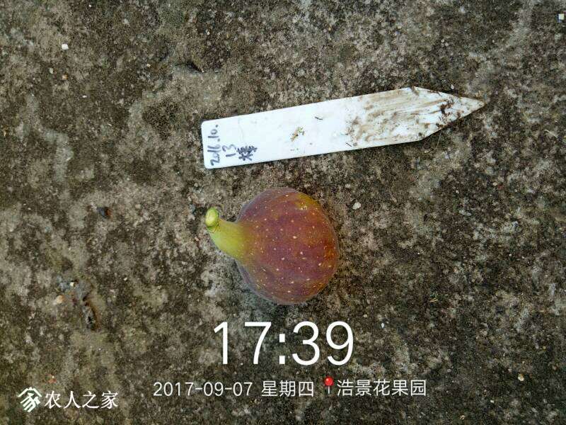 192213m98p9kgj0z6k3jr0.jpg
