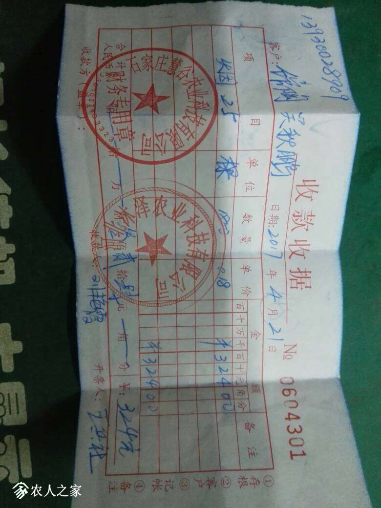 193642e6bluh4bullupwbb.jpg