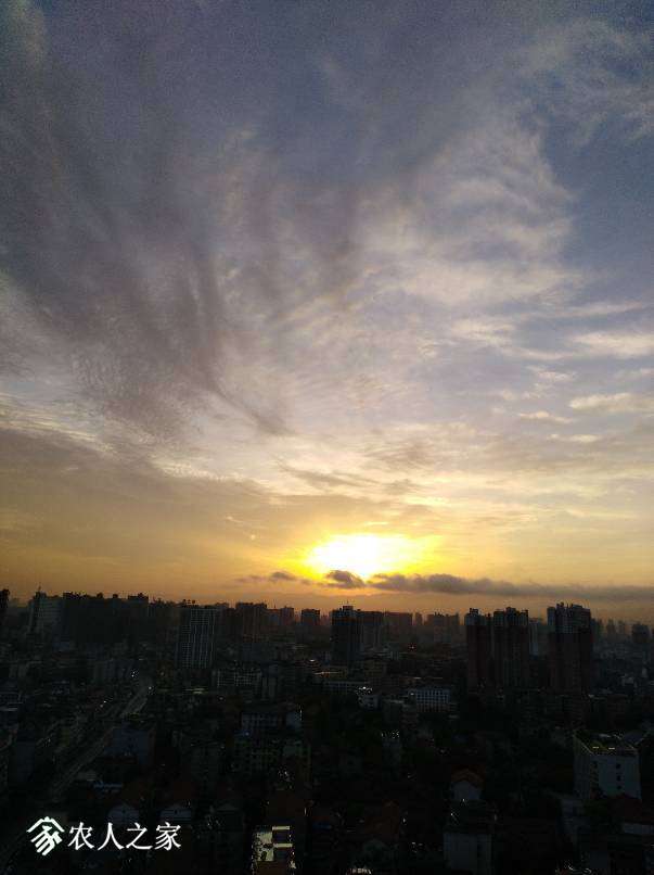 221250eyr5jbzjoycccggz.jpg