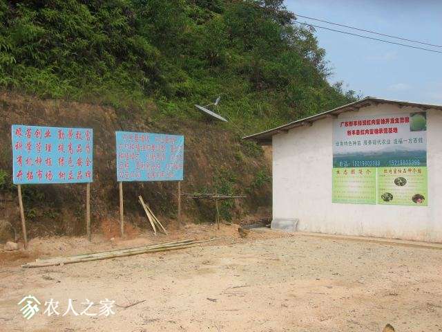 2012 