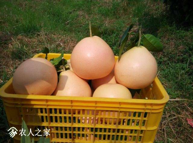 Ƭ 042.JPG