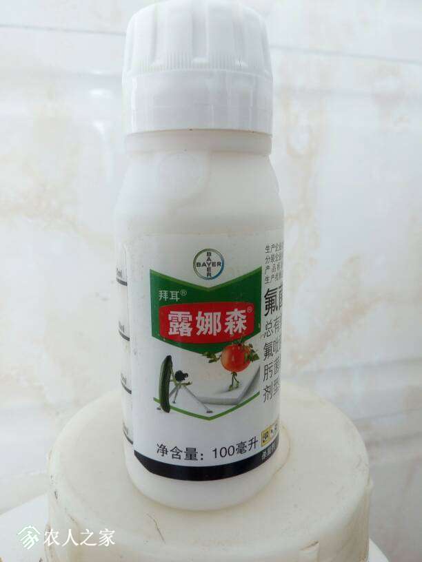 061322zwyubm590iqb9pzb.jpg