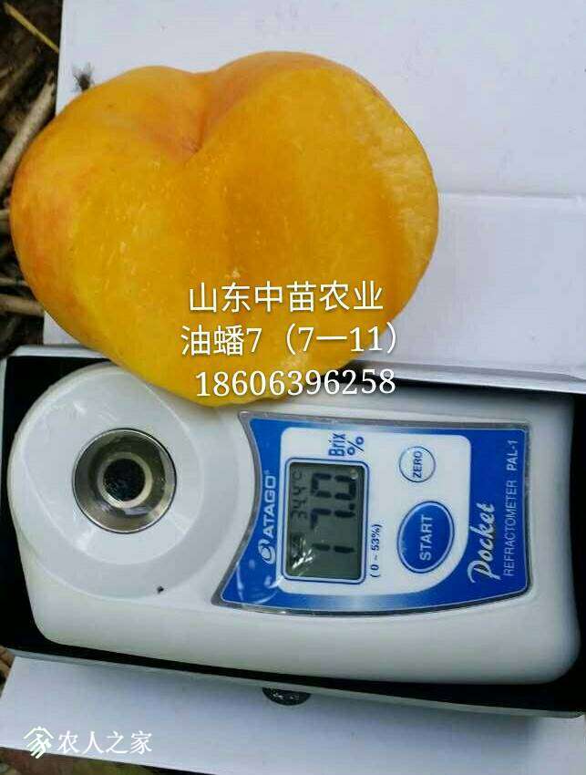 101505mwvf96mf3z9mi3md.jpg