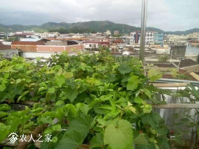 P70904-145935-02.jpg
