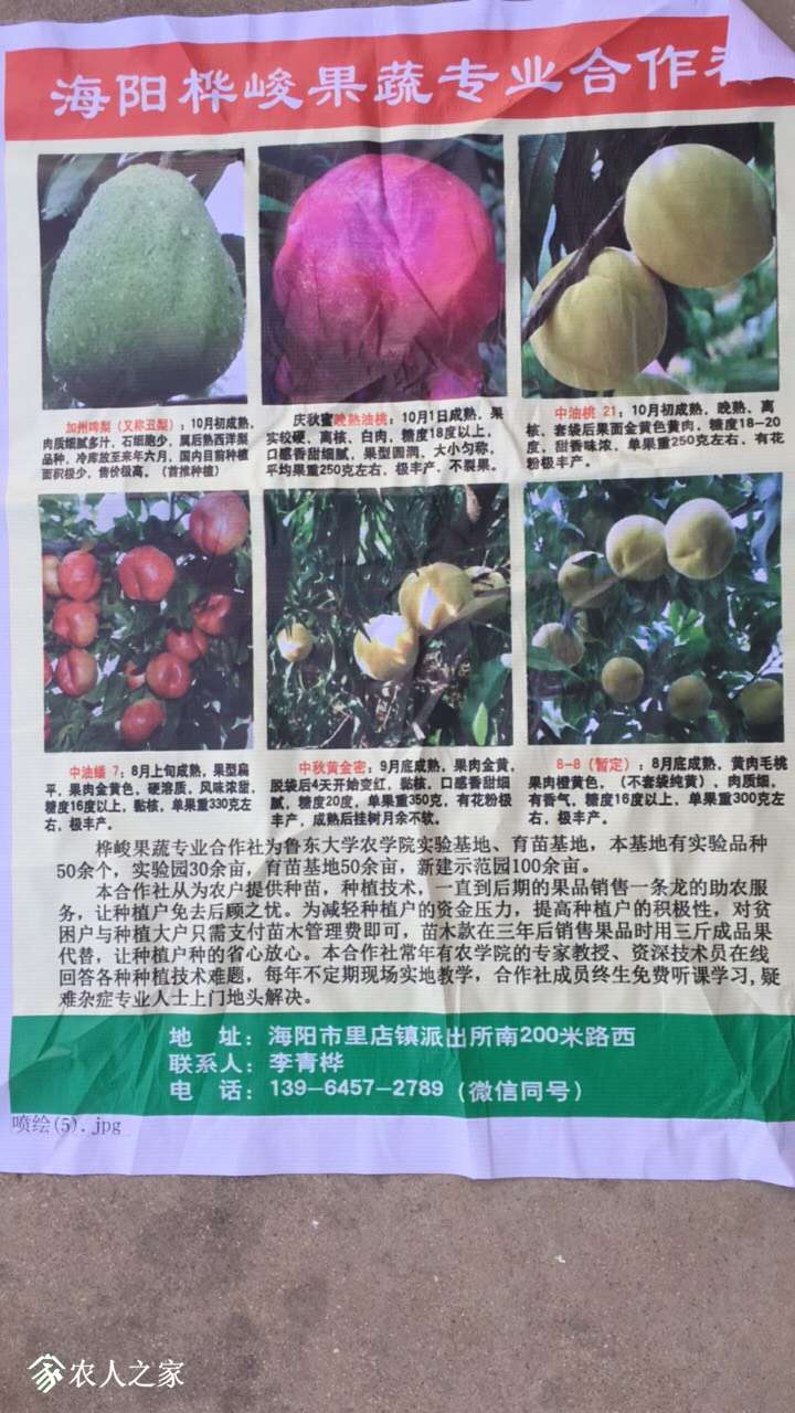 135045qgic3cek7536ccg0.jpg