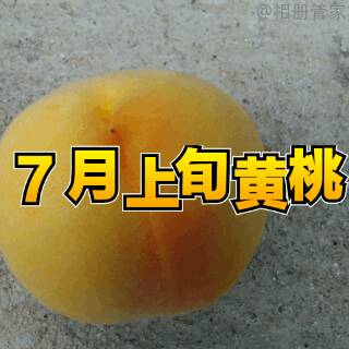 131057f76f9pscllg0df9z.gif