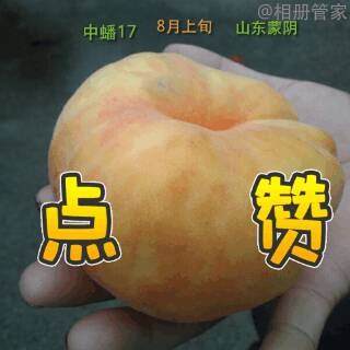 131057lmqjyiddqsnnnqrn.gif