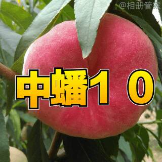 131057v5bczwb4r7w5ao74.gif
