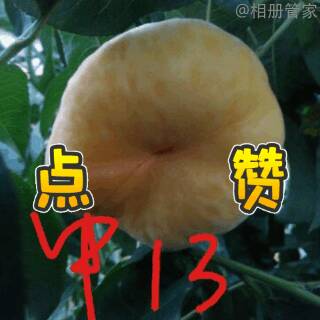 131057zmlavw0levw2ebmx.gif