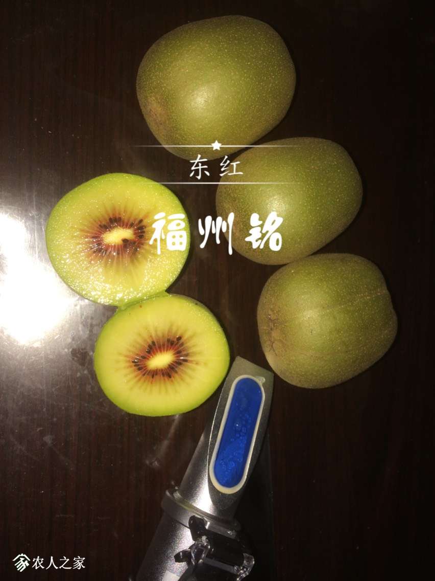 001730neekdn5812qzhehv.jpg