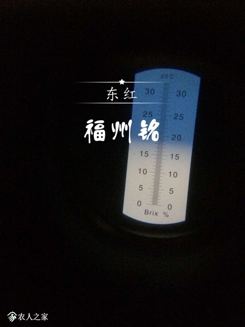 001731m7bakcc91cdhv9ds.jpg