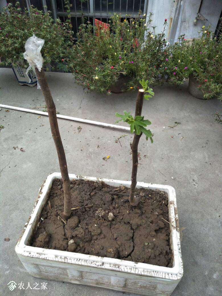082443oqtirtgjhcrjiquc.jpg