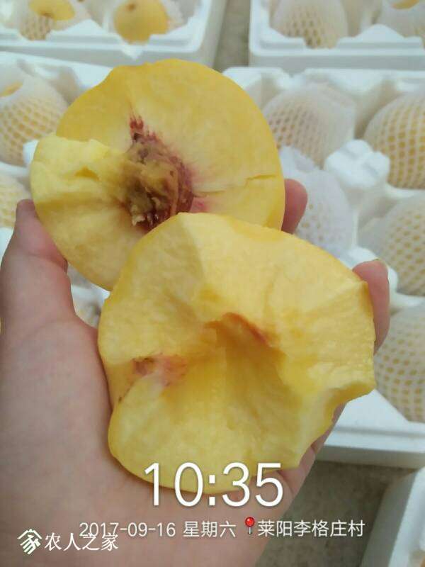145154an34glbz7z4tqe7x.jpg