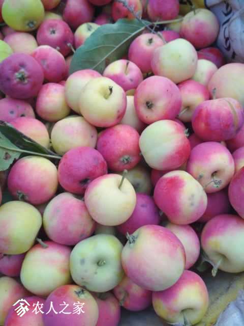 2017_08_04_06_33_16_0.jpg