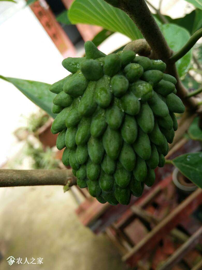 200955o02punnn73cyloh6.jpg