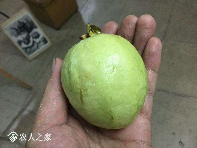image.jpeg