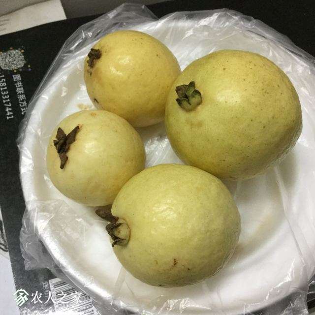 image.jpeg