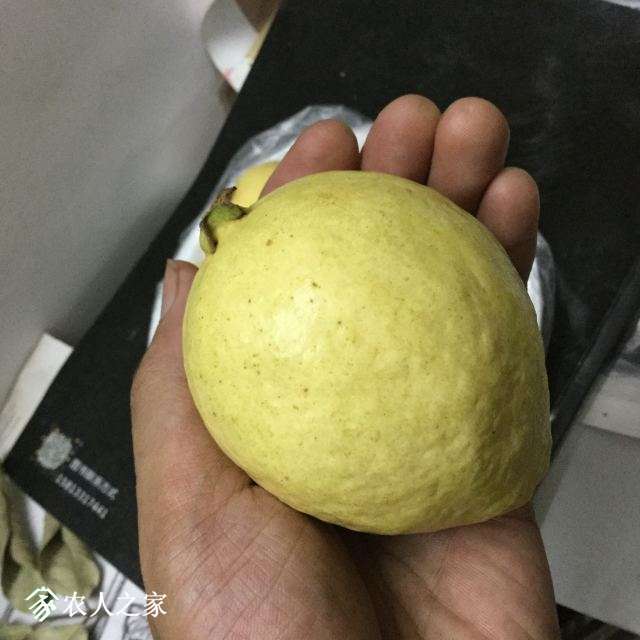 image.jpeg