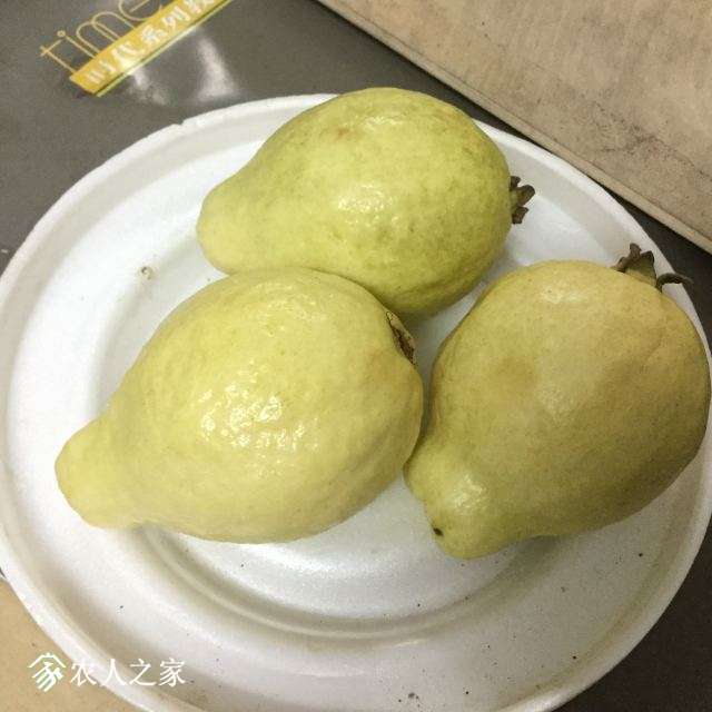 image.jpeg