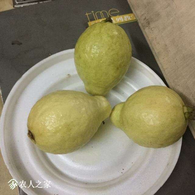 image.jpeg