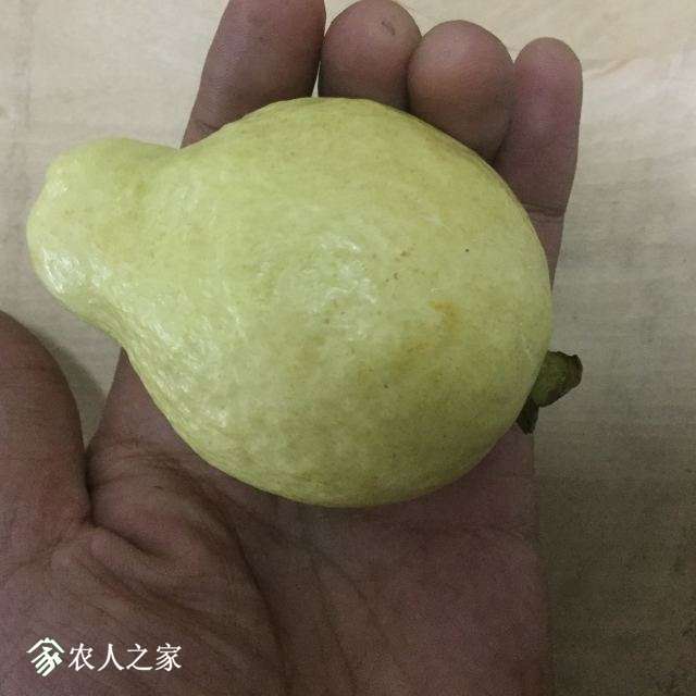image.jpeg