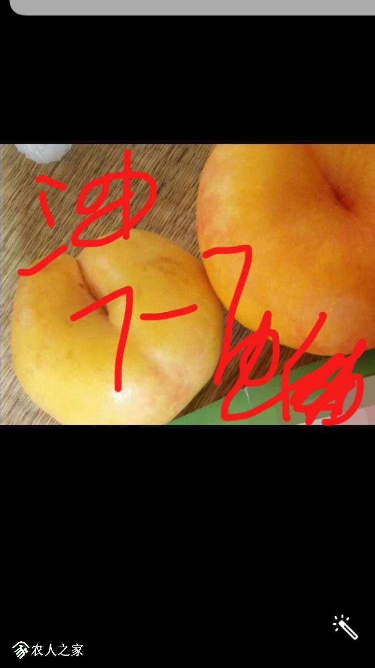 000238fj22e3jgnhqzjnqd.jpg
