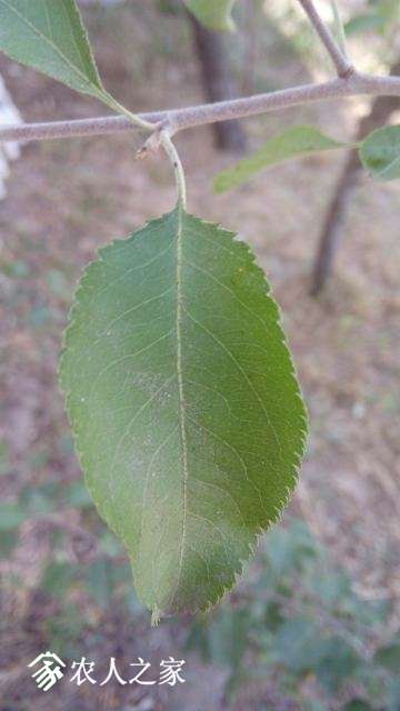 IMG_20170916_142308.jpg