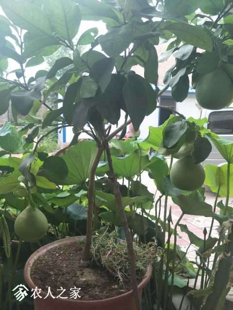 IMG20170727143922.jpg