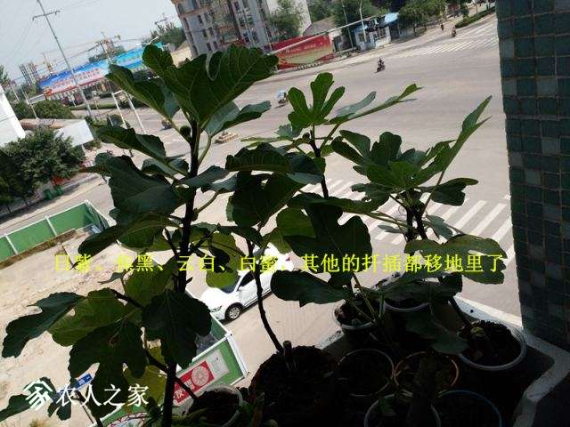 IMG_20170917_125626_.jpg