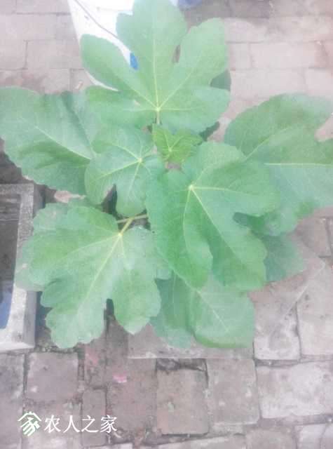 1505641964359..jpg