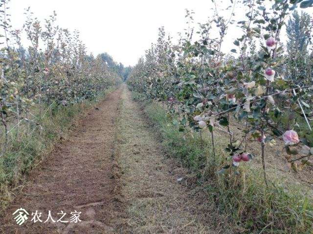 QQͼƬ20170918103459.jpg