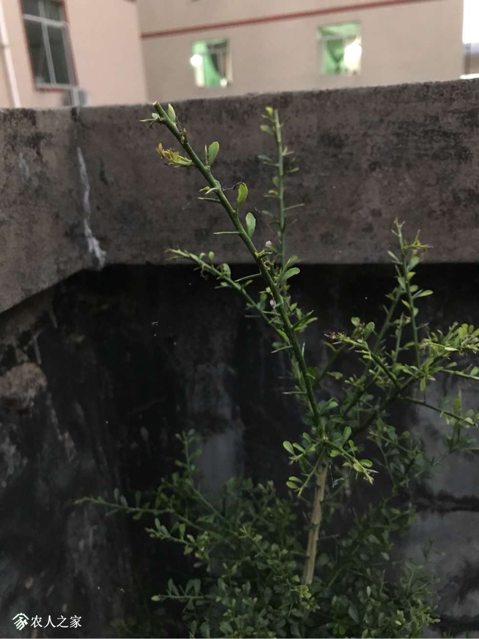 133045vmrrpfrppppuzpc0.jpg