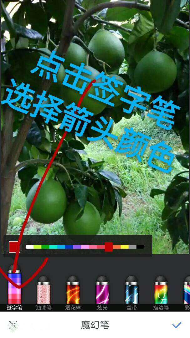 004623szgbgjdajy1ftehy.jpg