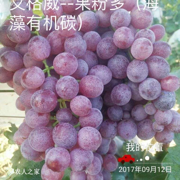 213437m9ohtpt9lrrpo8ez.jpg