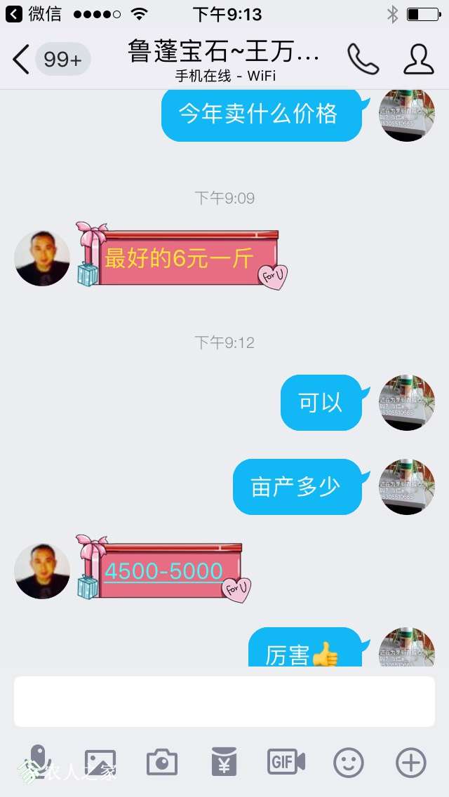 213437mmvvwvw67m67pppz.jpg