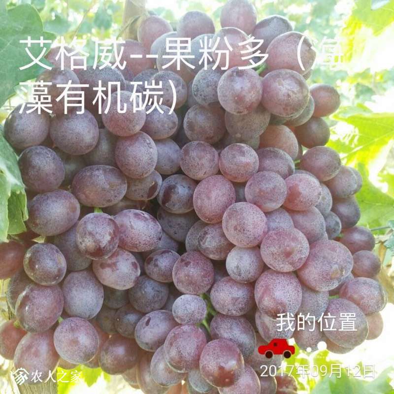213437wmrbibiaje2rbni1.jpg