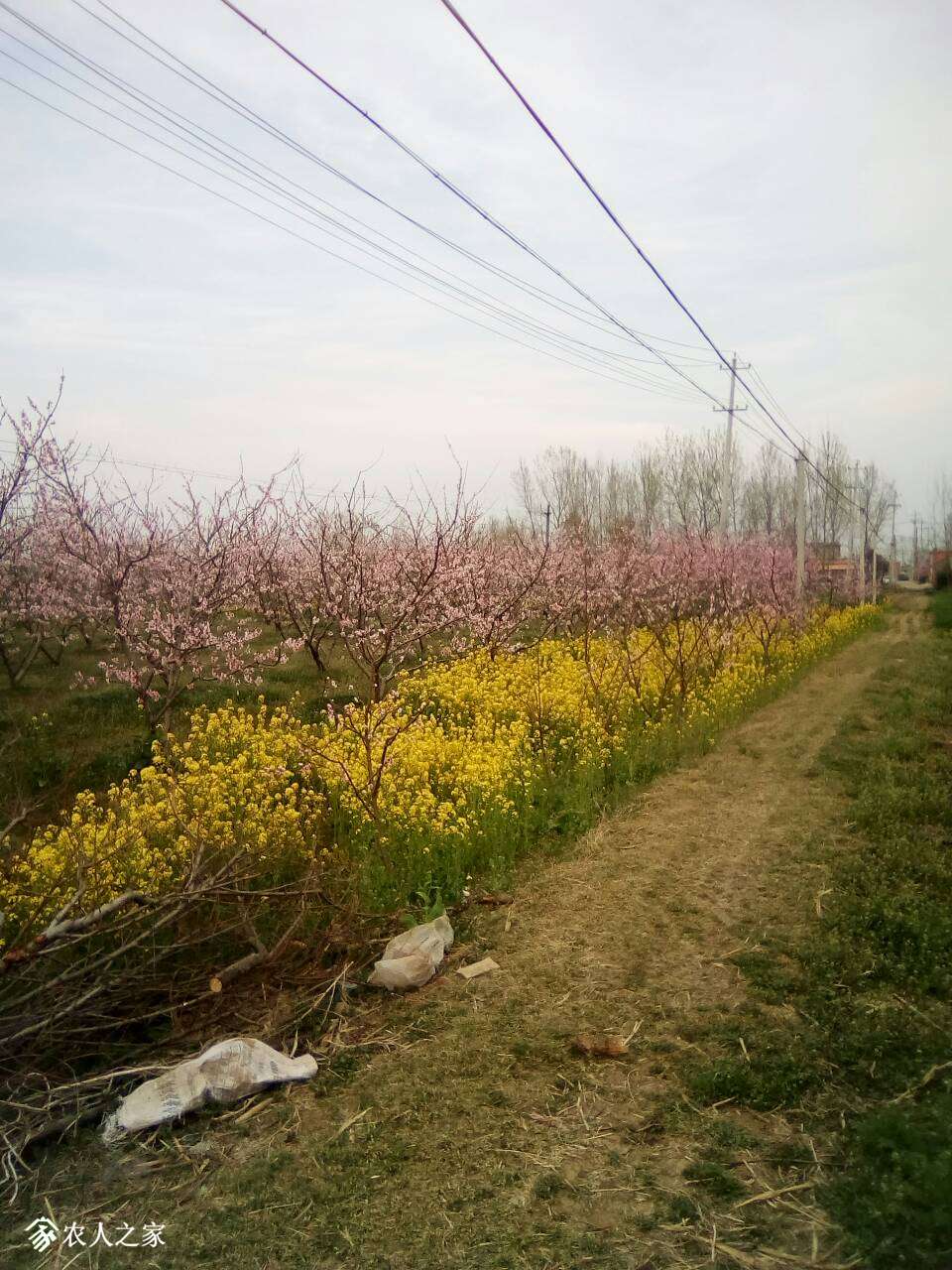 080315rirynebqbbpi140a.jpg